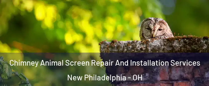  Chimney Animal Screen Repair And Installation Services New Philadelphia - OH
