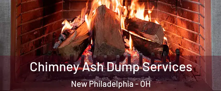 Chimney Ash Dump Services New Philadelphia - OH