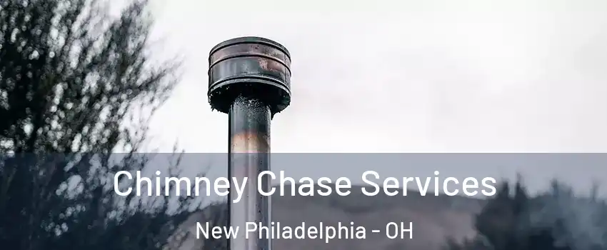  Chimney Chase Services New Philadelphia - OH