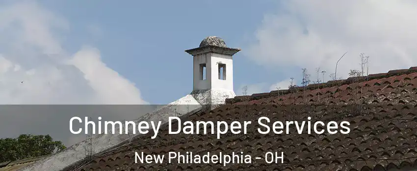  Chimney Damper Services New Philadelphia - OH