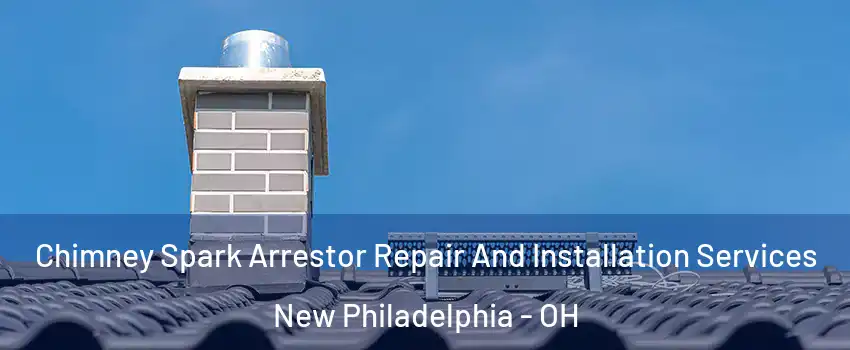  Chimney Spark Arrestor Repair And Installation Services New Philadelphia - OH