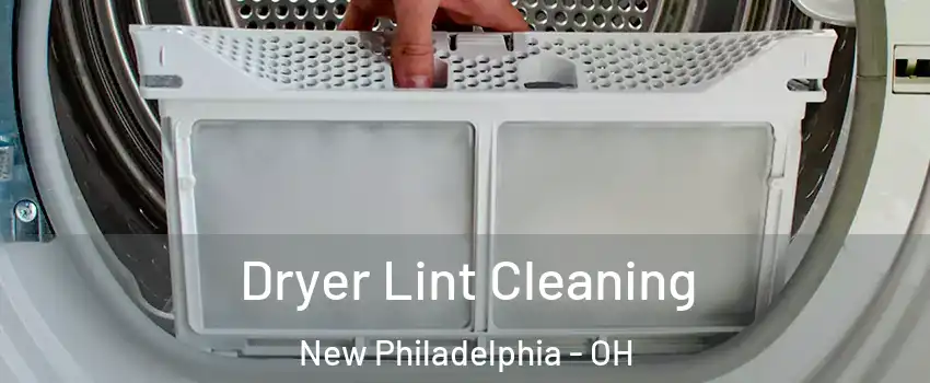  Dryer Lint Cleaning New Philadelphia - OH