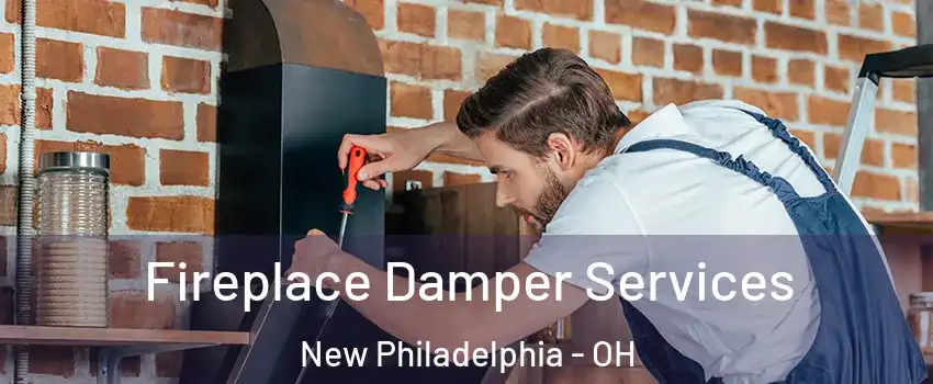  Fireplace Damper Services New Philadelphia - OH