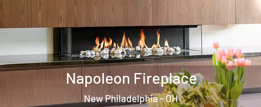  Napoleon Fireplace New Philadelphia - OH