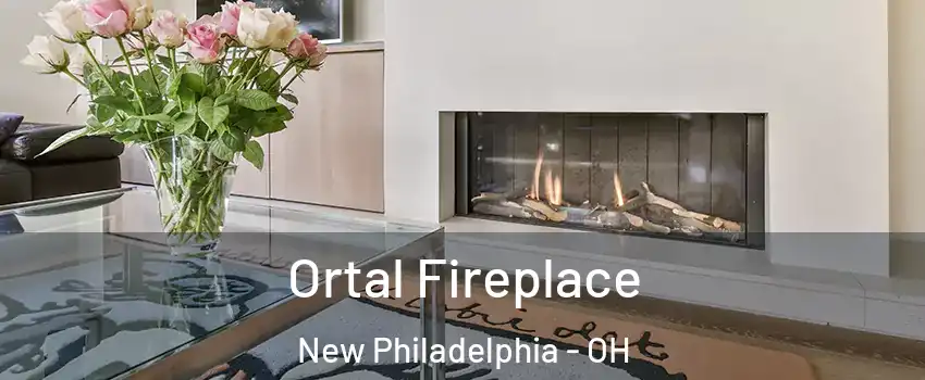  Ortal Fireplace New Philadelphia - OH